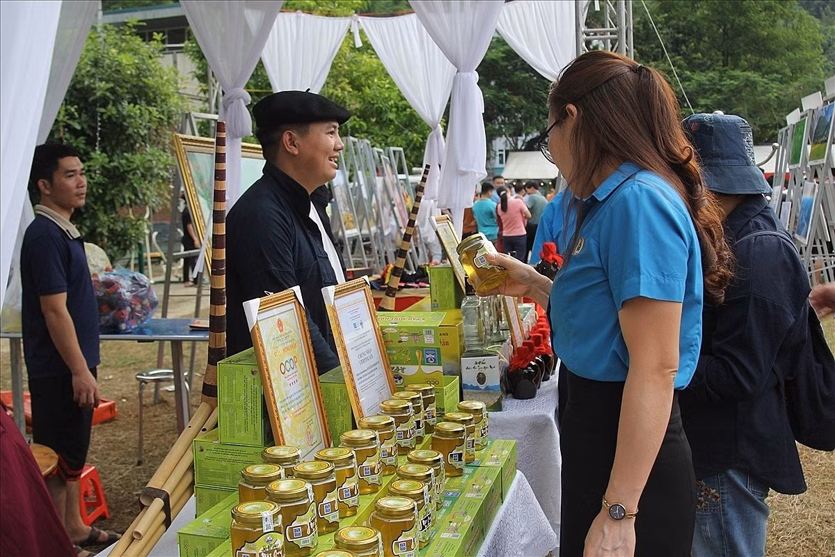 Nhiều đồng bào DTTS ở Bảo Yên đã thành lập và lãnh đạo các HTX.