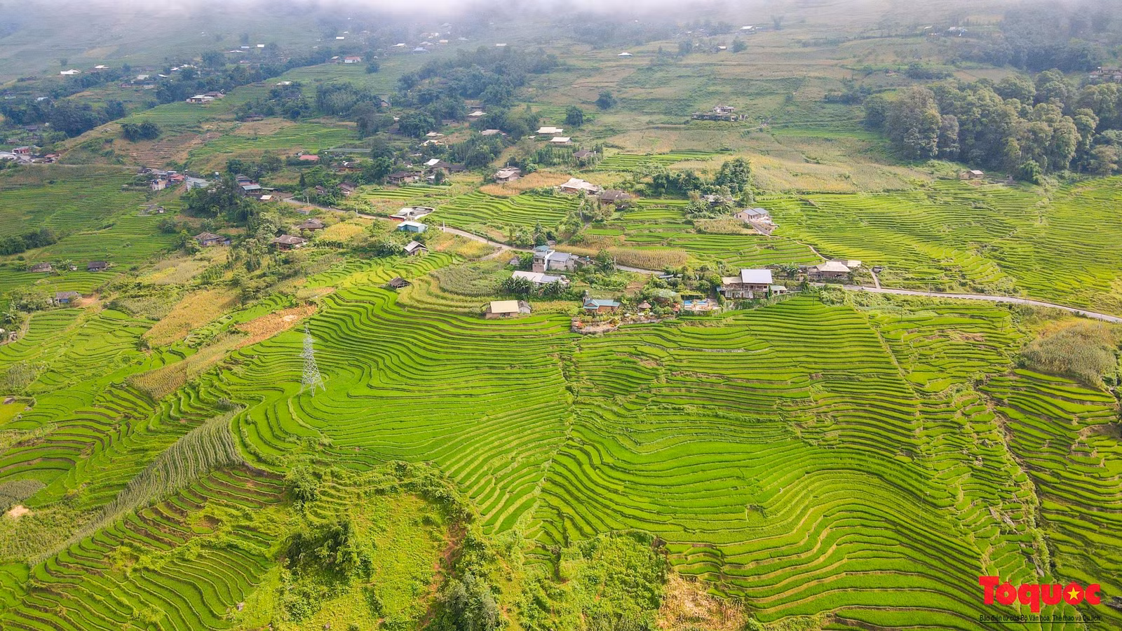 Nhìn từ trên cao, các thửa ruộng bậc thang trông vô cùng thích mắt.