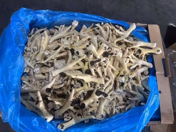 Hàng nghìn tấn chân gà đông lạnh bị phát hiện, thu giữ