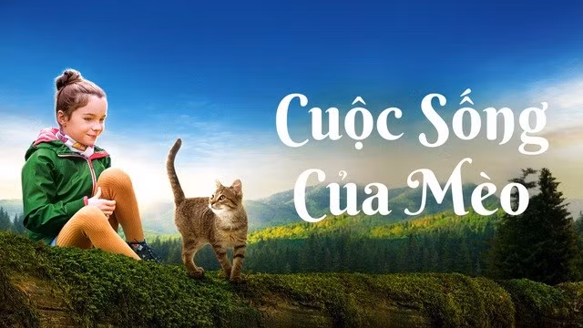 Phim "Cuộc sống của mèo".