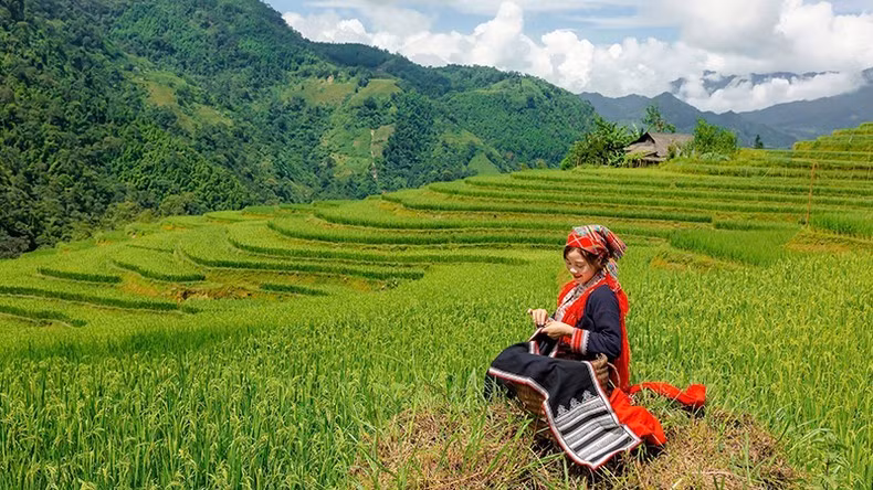 Vẻ đẹp của ruộng bậc thang Hoàng Su Phì.