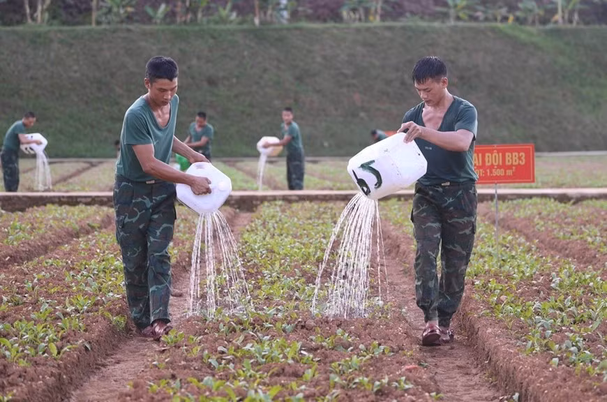 Trung sĩ Sùng A Súa (bên phải) chăm sóc vườn rau tăng gia với các chiến sĩ trong tiểu đội.