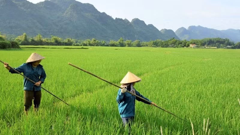 Đào tạo, đào tạo lại, đào tạo bồi dưỡng nâng cao trình độ kỹ năng nghề cho các lao động nông thôn.