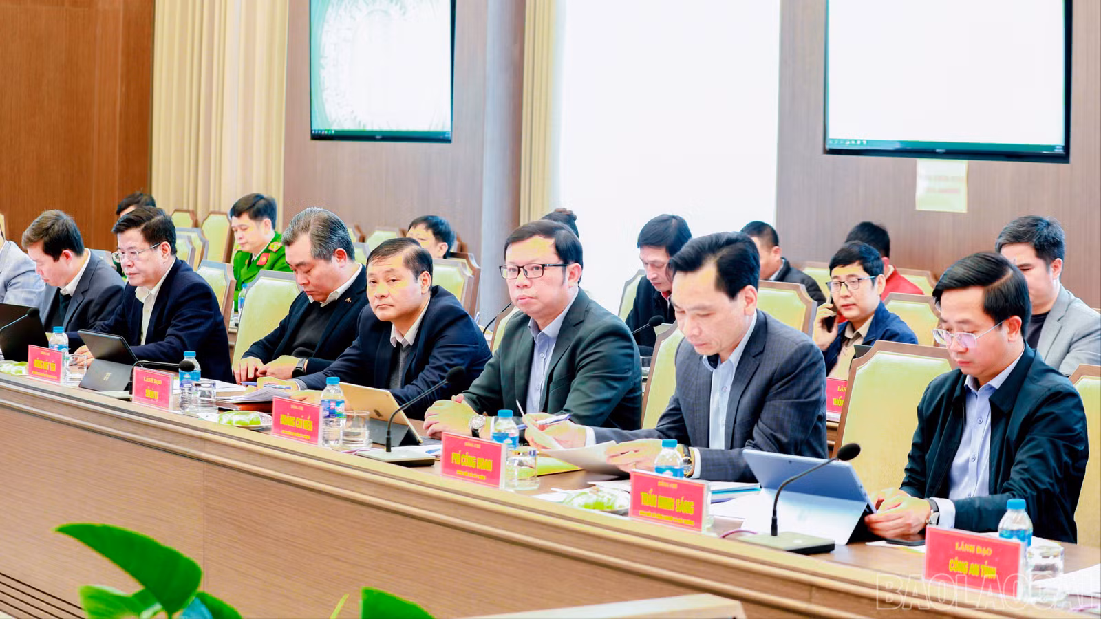 baolaocai-br-7j5a4494.jpg