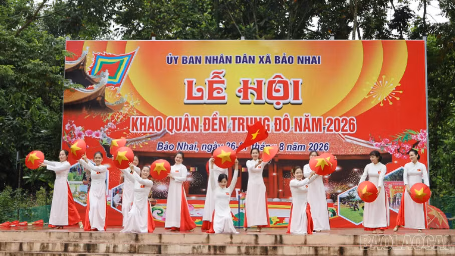 baolaocai-tr-3.png