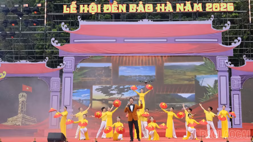 baolaocai-tr-7.png