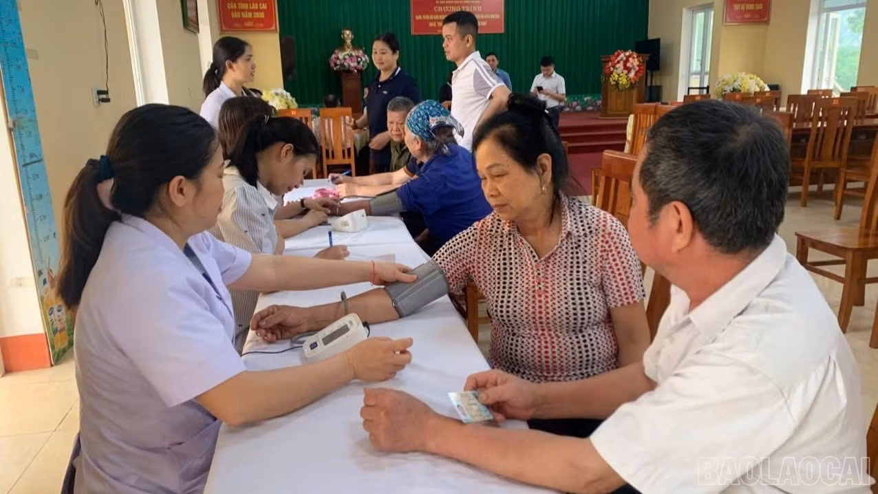baolaocai-br-665497567-967460385981223-9017389158691604693-n.jpg
