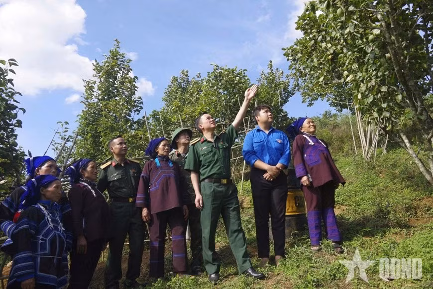 Cán bộ Đoàn Kinh tế - Quốc phòng 345 hướng dẫn người dân kỹ thuật chăm sóc cây lê. Ảnh: PHÙNG ANH TUẤN