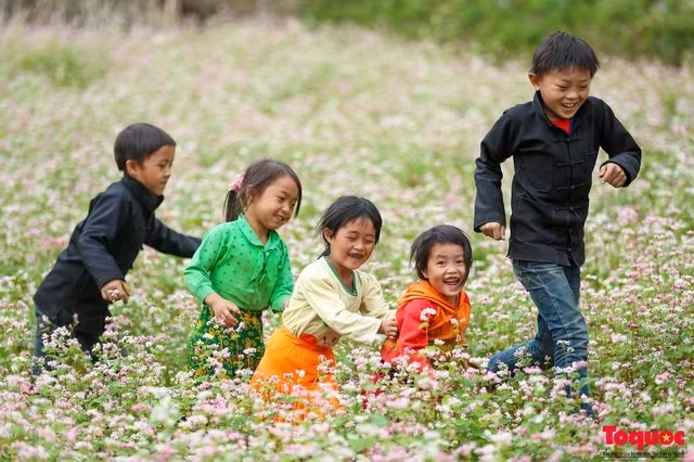 Trẻ em vui đùa trên những cánh đồng hoa tam giác mạch.