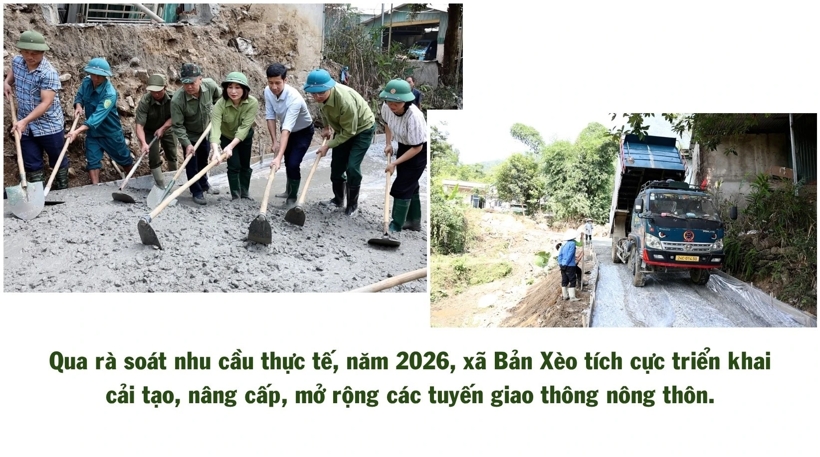 495.jpg