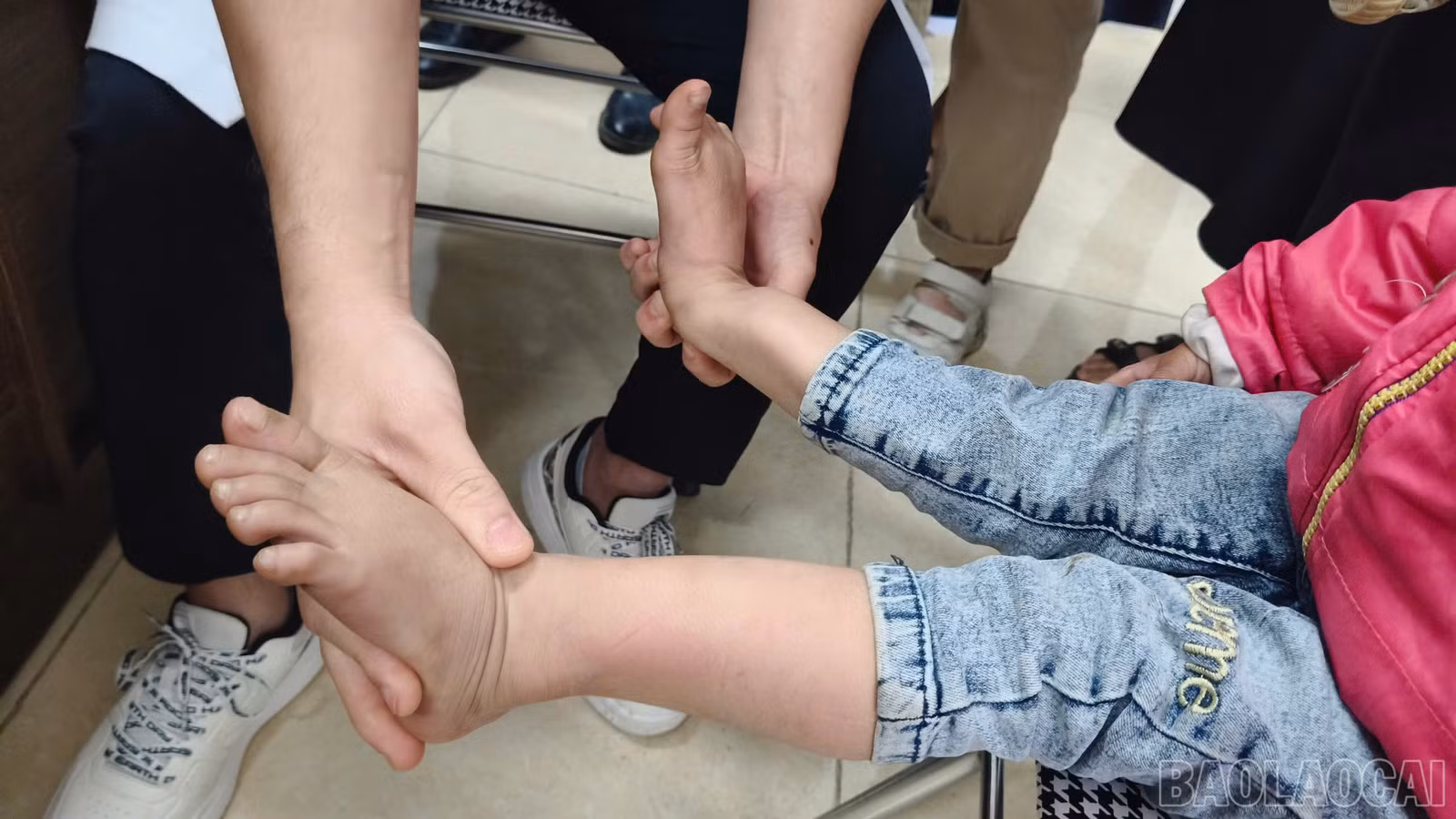 baolaocai-br_z6699868889697-d2fb2e427c8d45aa168d0bed23ef87bd.jpg
