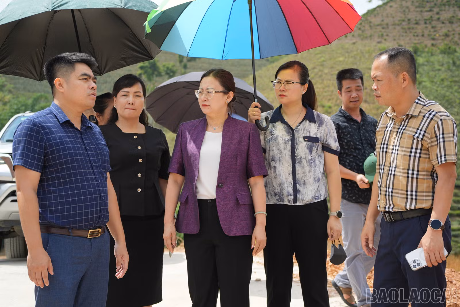 baolaocai-br_z7903552286467-ebe444d49953b3b8e32393682d9f7db4-copy.jpg