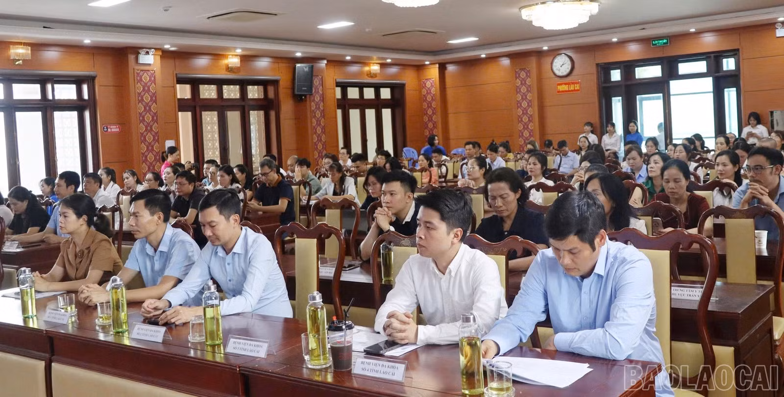 baolaocai-br_1790702349938-1984763244511027260-773878949586061066-70b621ac81f809453a2af880026dcec7.jpg