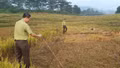 Tăng cường kiểm tra, ngăn chặn săn bắt chim di cư