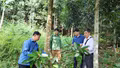 Xã Phúc Khánh: Đa dạng sinh kế, nâng thu nhập để giảm nghèo bền vững