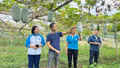 Kinh tế tập thể tạo động lực cho nông dân