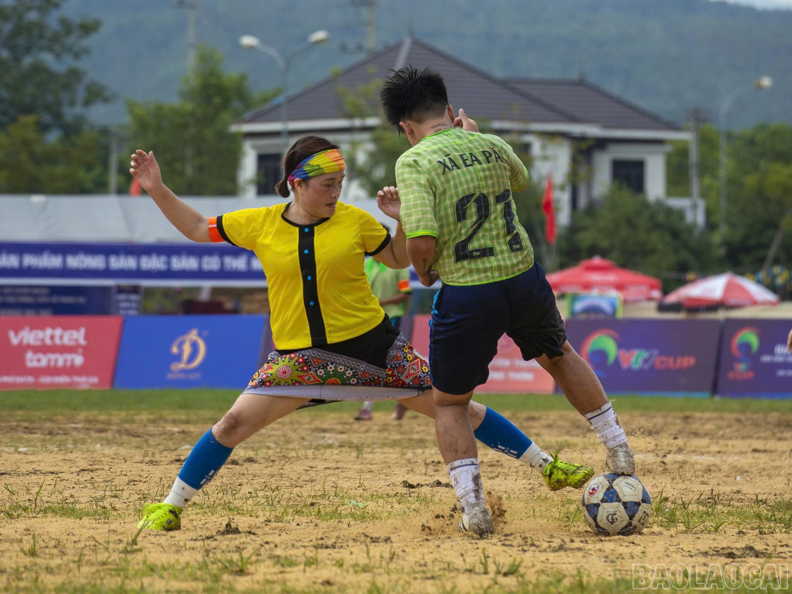 baolaocai-br_t13.jpg