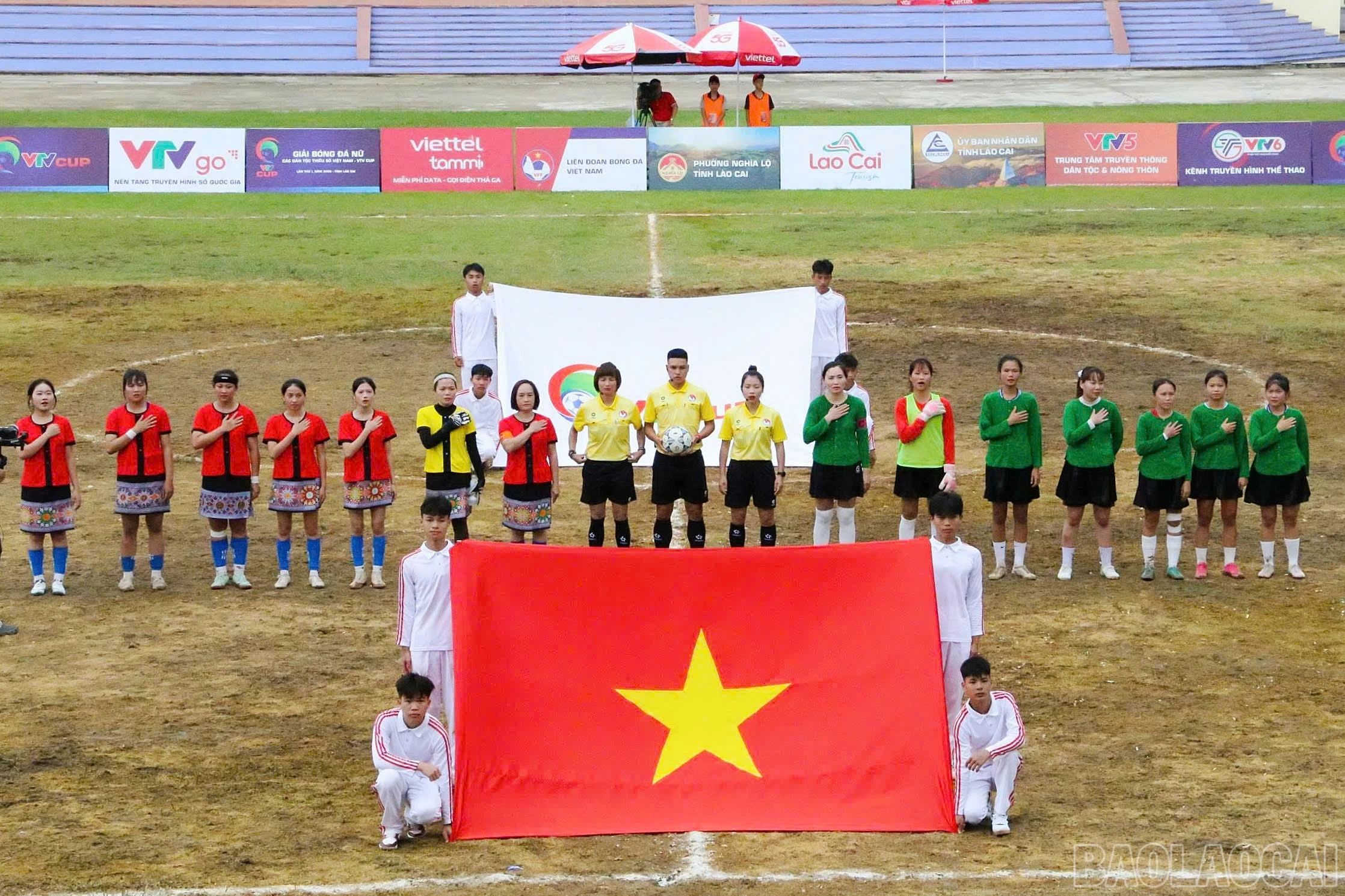 baolaocai-br_tr21.jpg