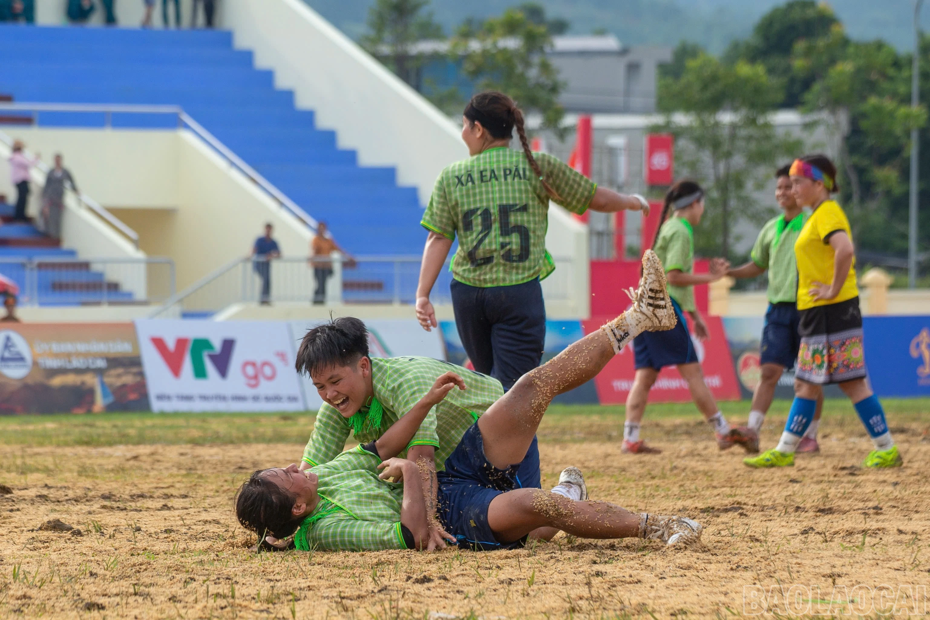 baolaocai-br_t15.jpg