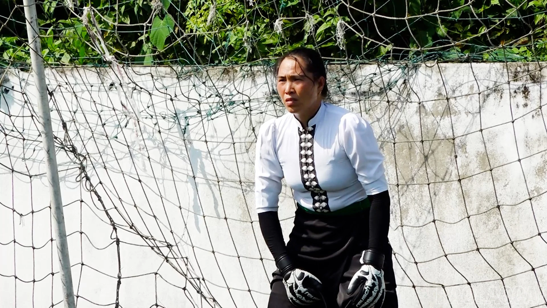 baolaocai-br_thai.jpg