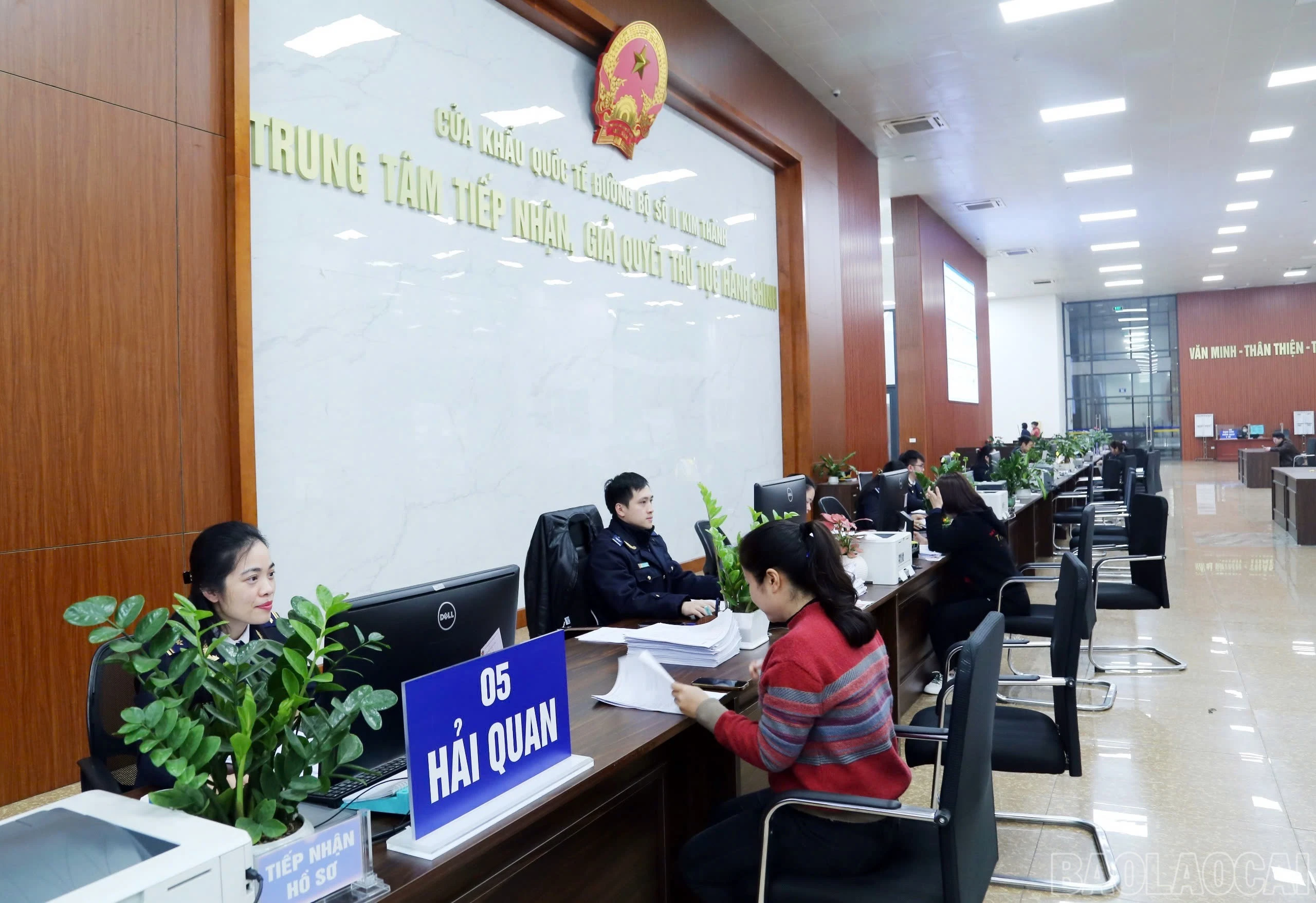 baolaocai-br_img-4174.jpg