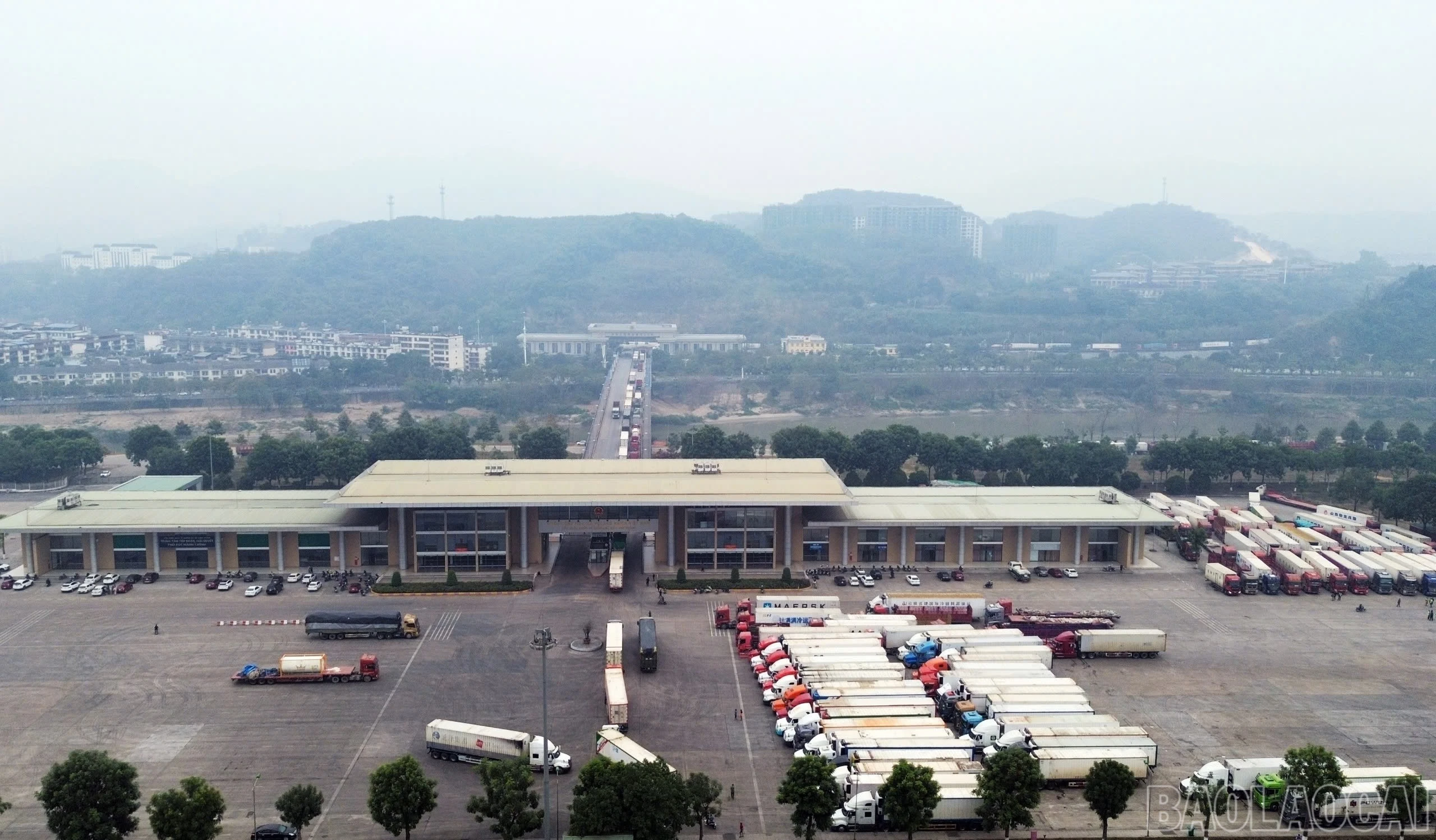 baolaocai-br_img-4175.jpg