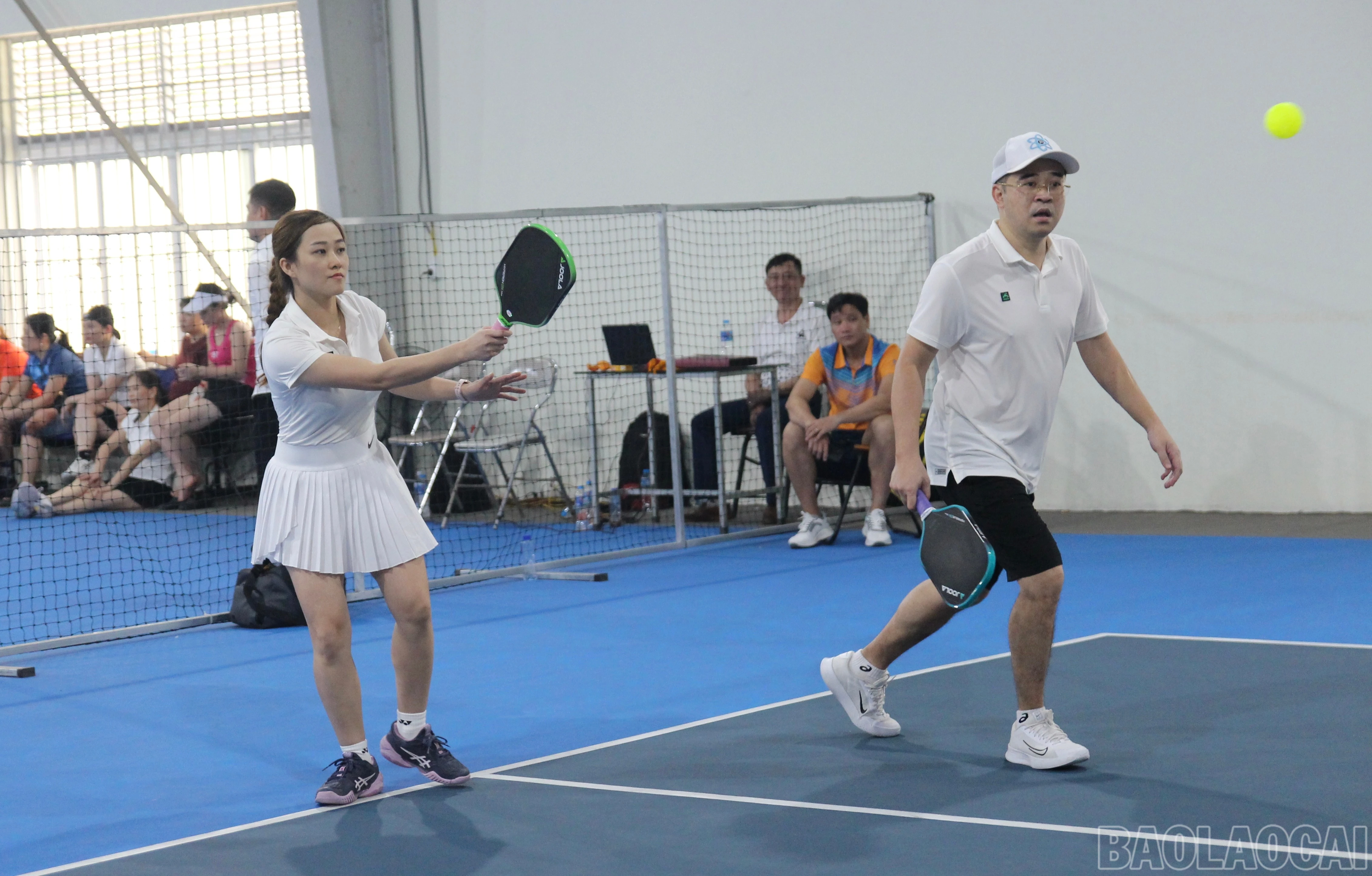 baolaocai-br_img-0677.jpg