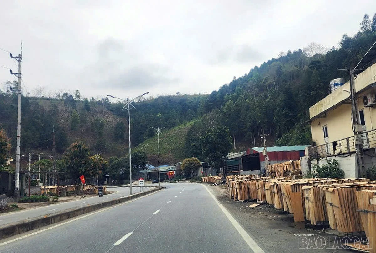 baolaocai-br_img-5061.jpg