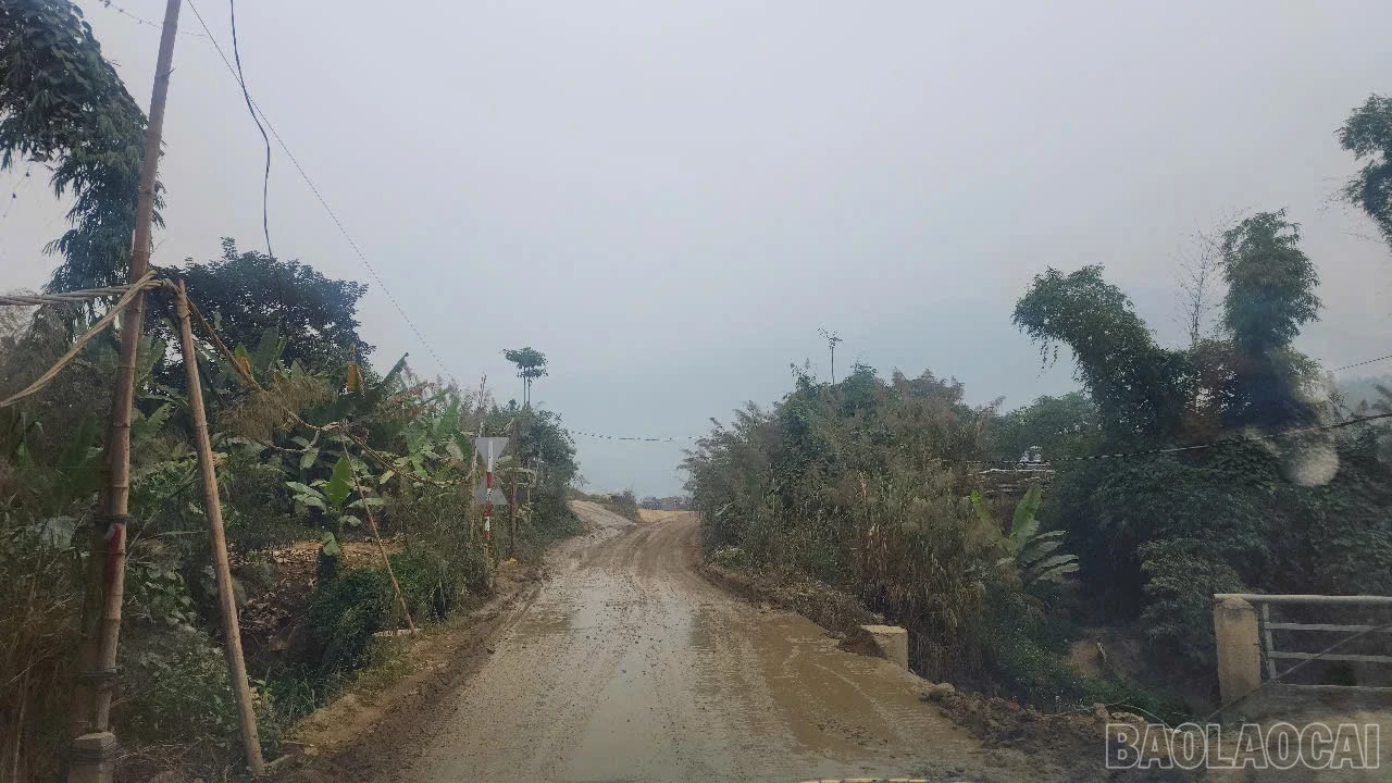 baolaocai-br_img-5055.jpg