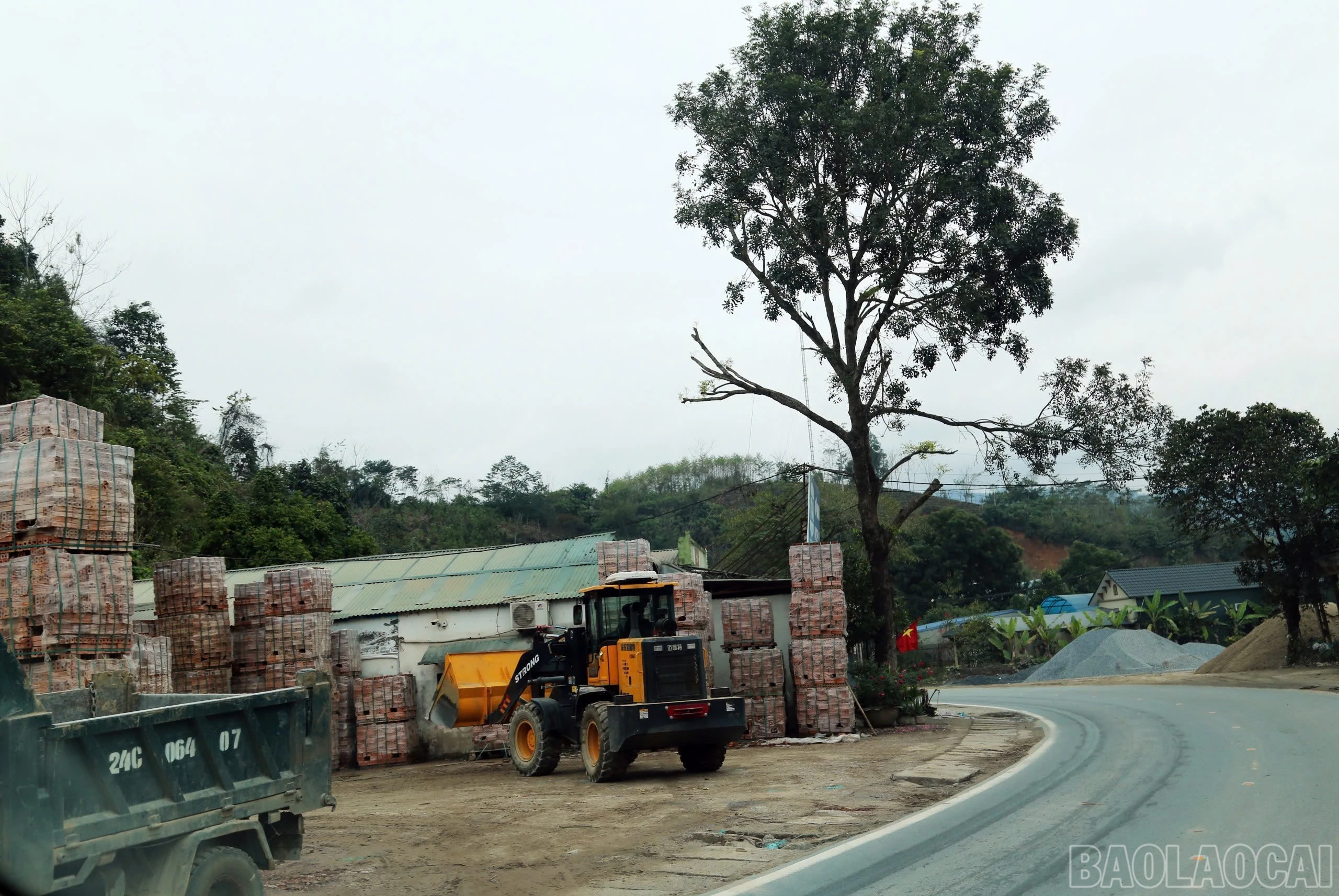 baolaocai-br_img-5059.jpg