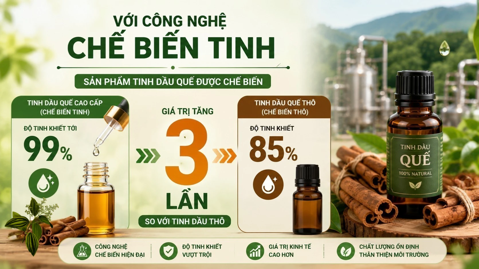 thiet-ke-chua-co-ten7.png