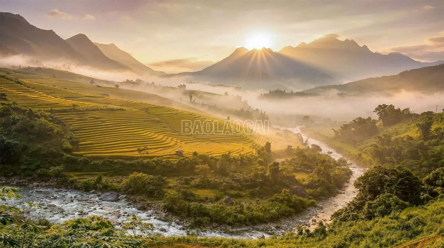 baolaocai-c_mb.jpg