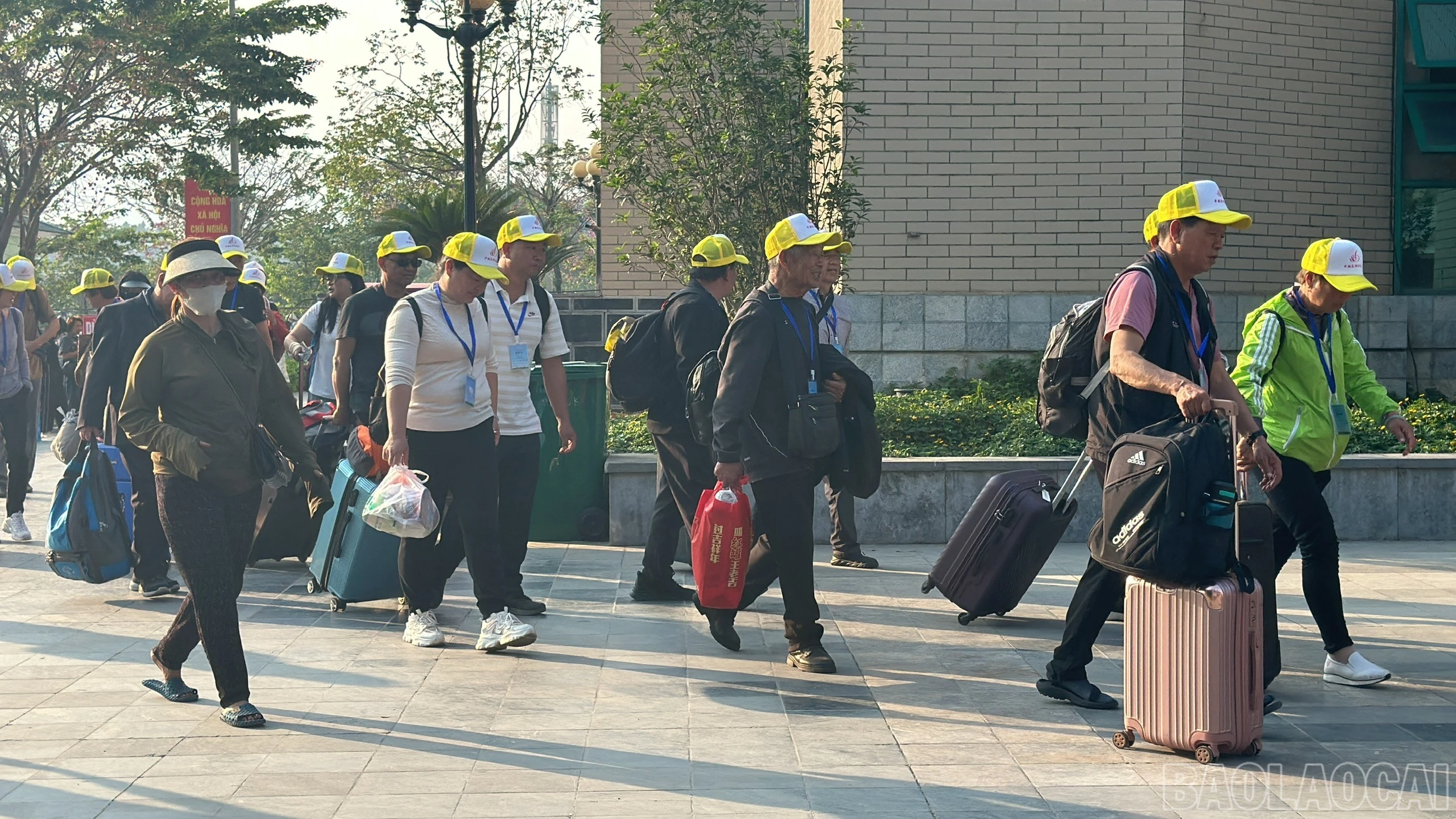 baolaocai-br_508fdc06f7ad4cf315bc.jpg