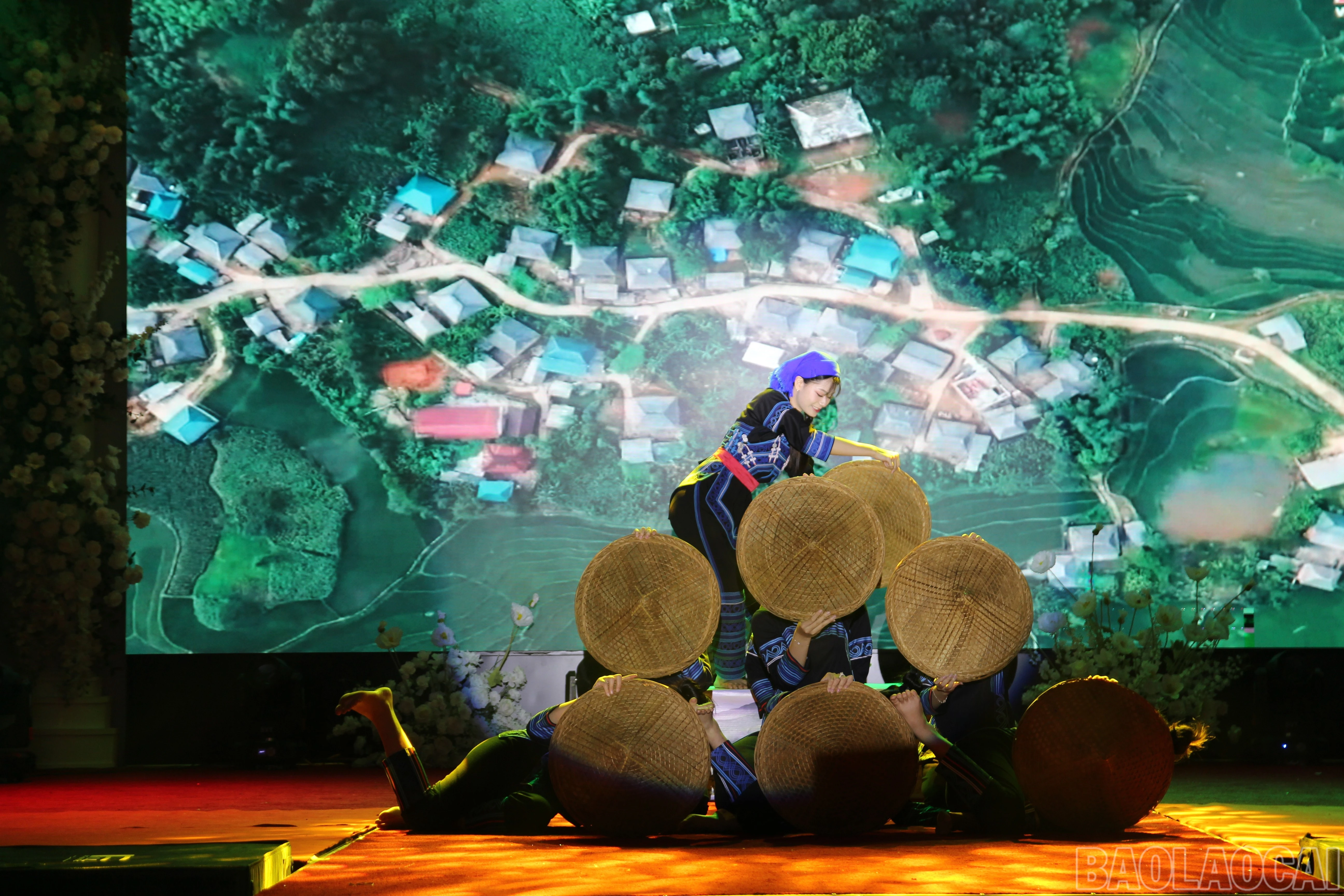 baolaocai-br_7.jpg