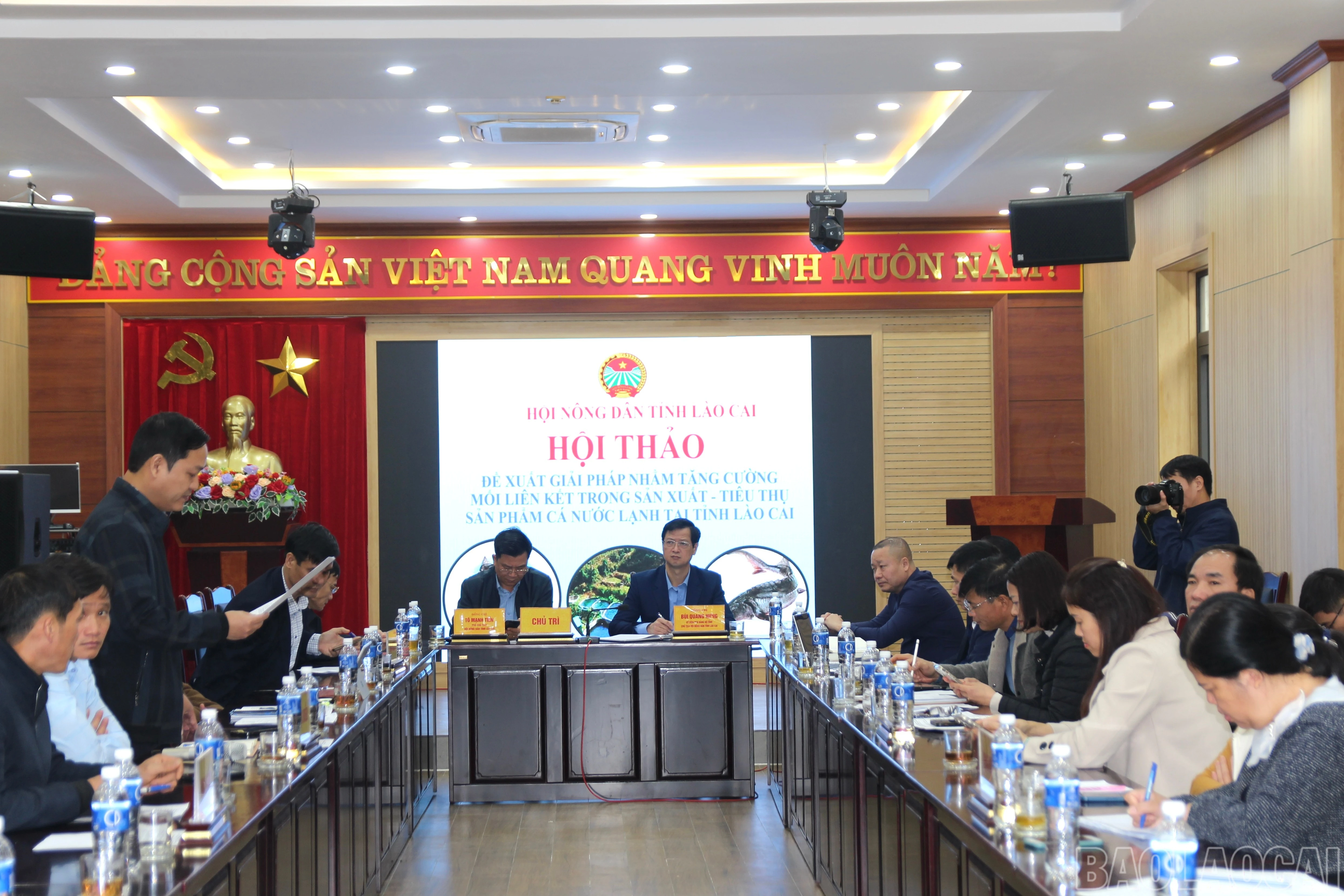 baolaocai-br_img-8283.jpg