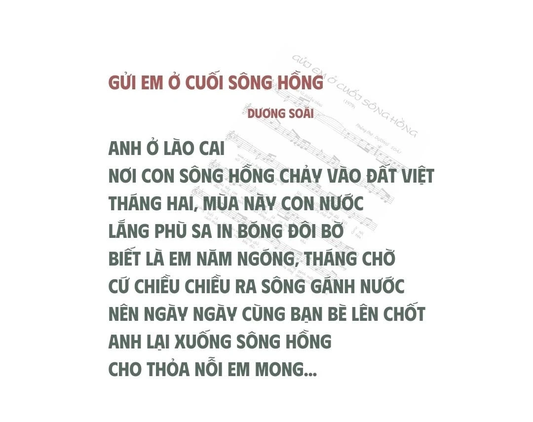 them-tieu-dezip-4-8001-9182.jpeg