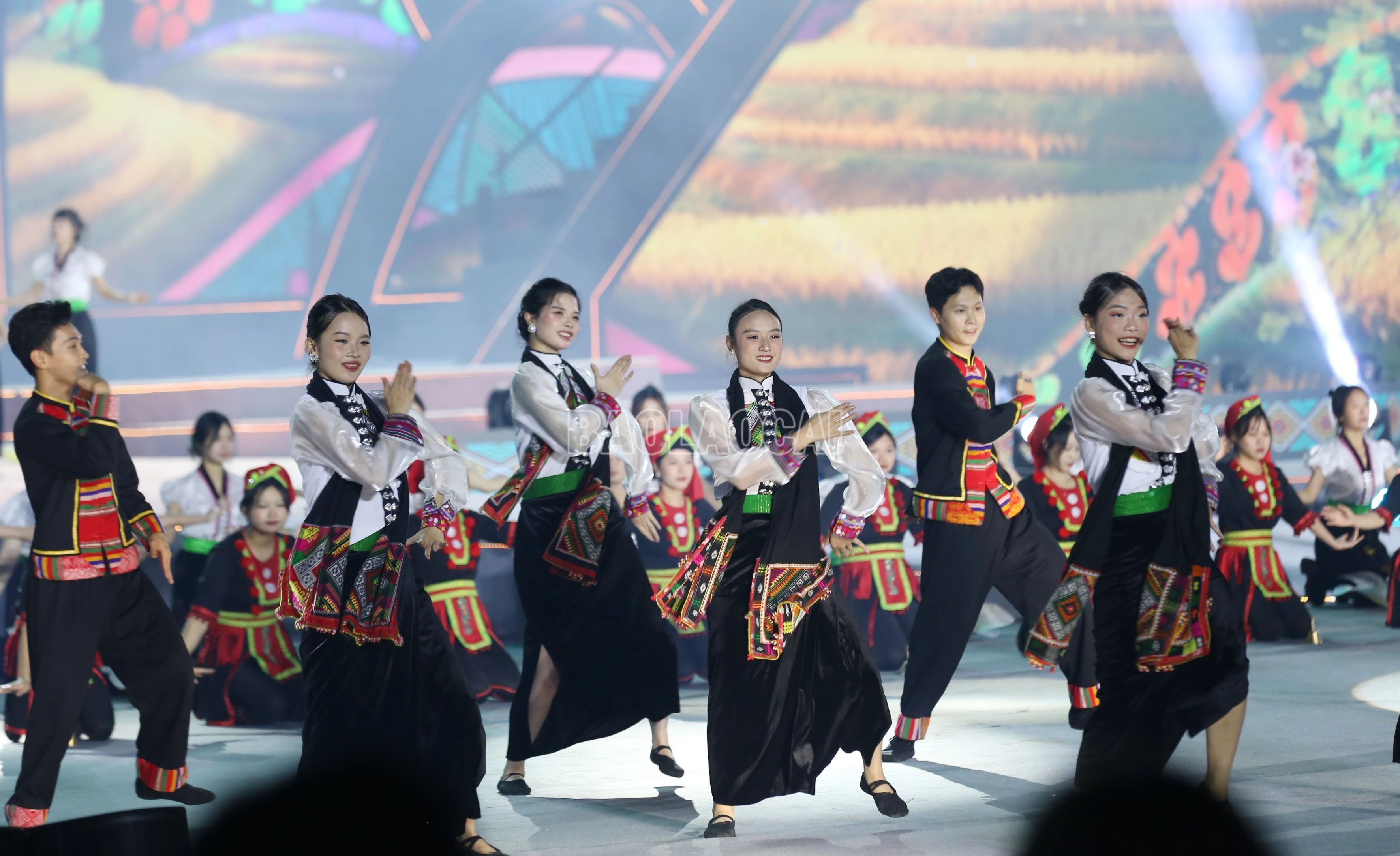 baolaocai-c_9-2168.jpg
