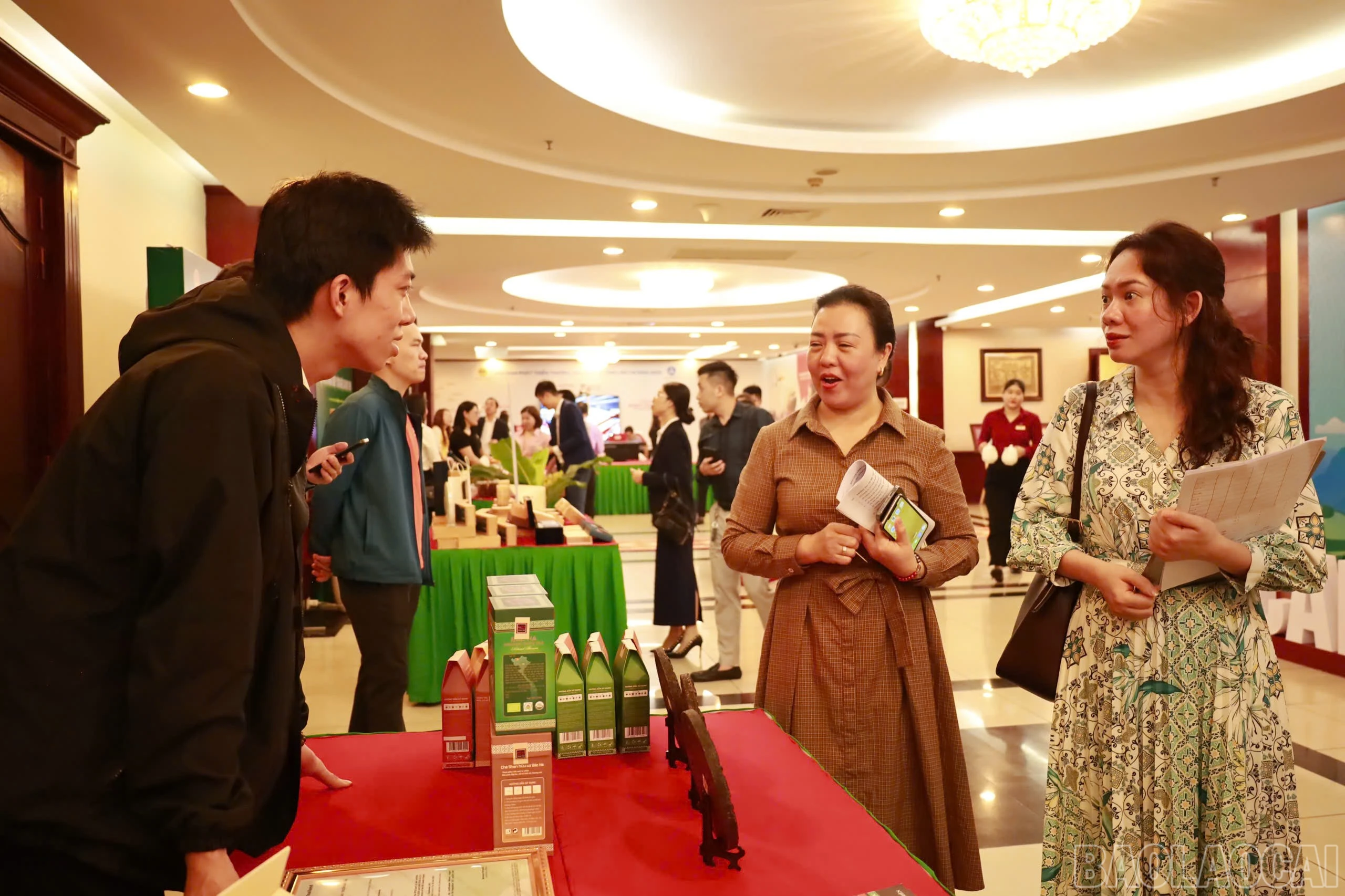 baolaocai-br_77a52d721b8eaad0f39f9.jpg