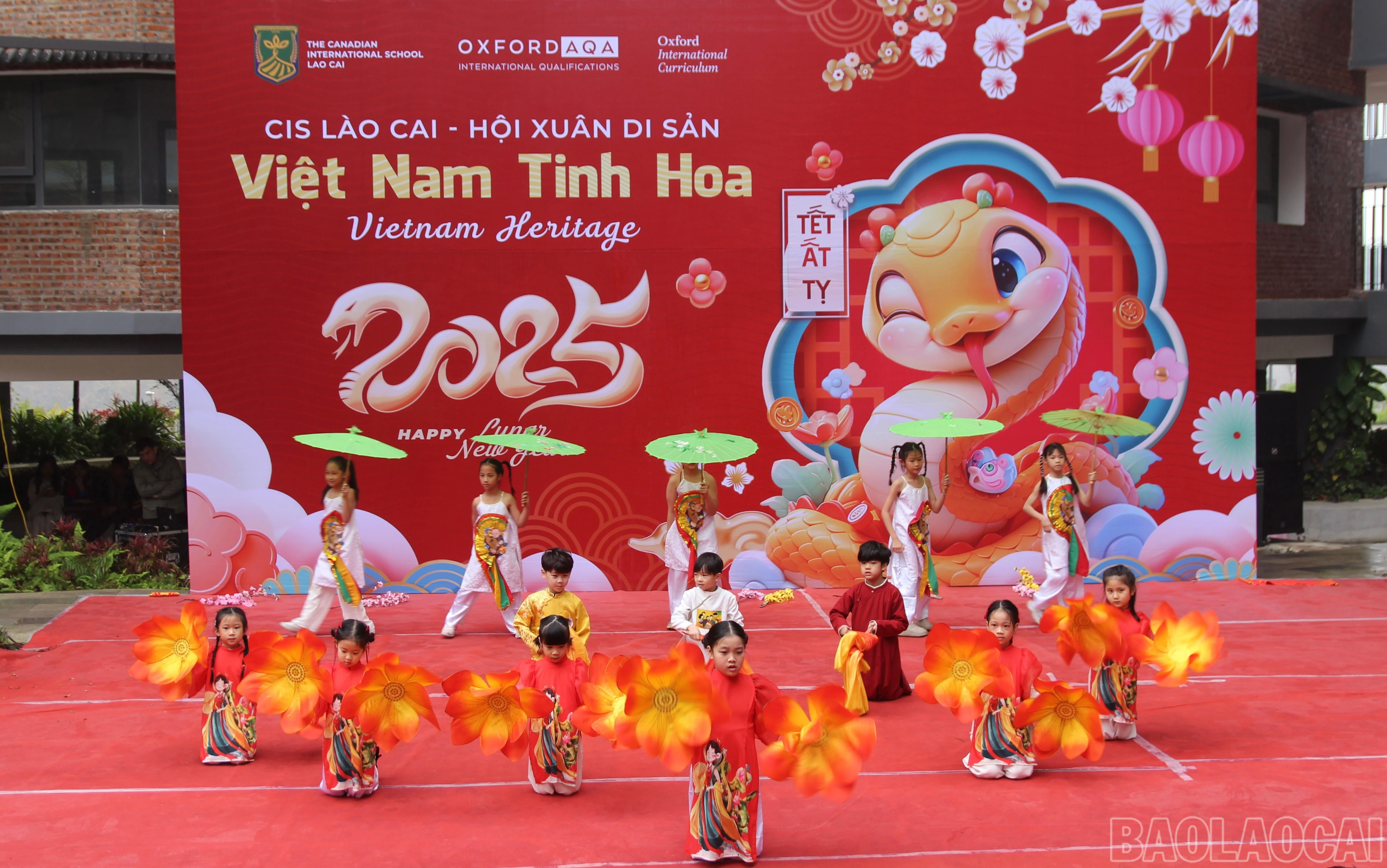 baolaocai-br_img-9333.jpg