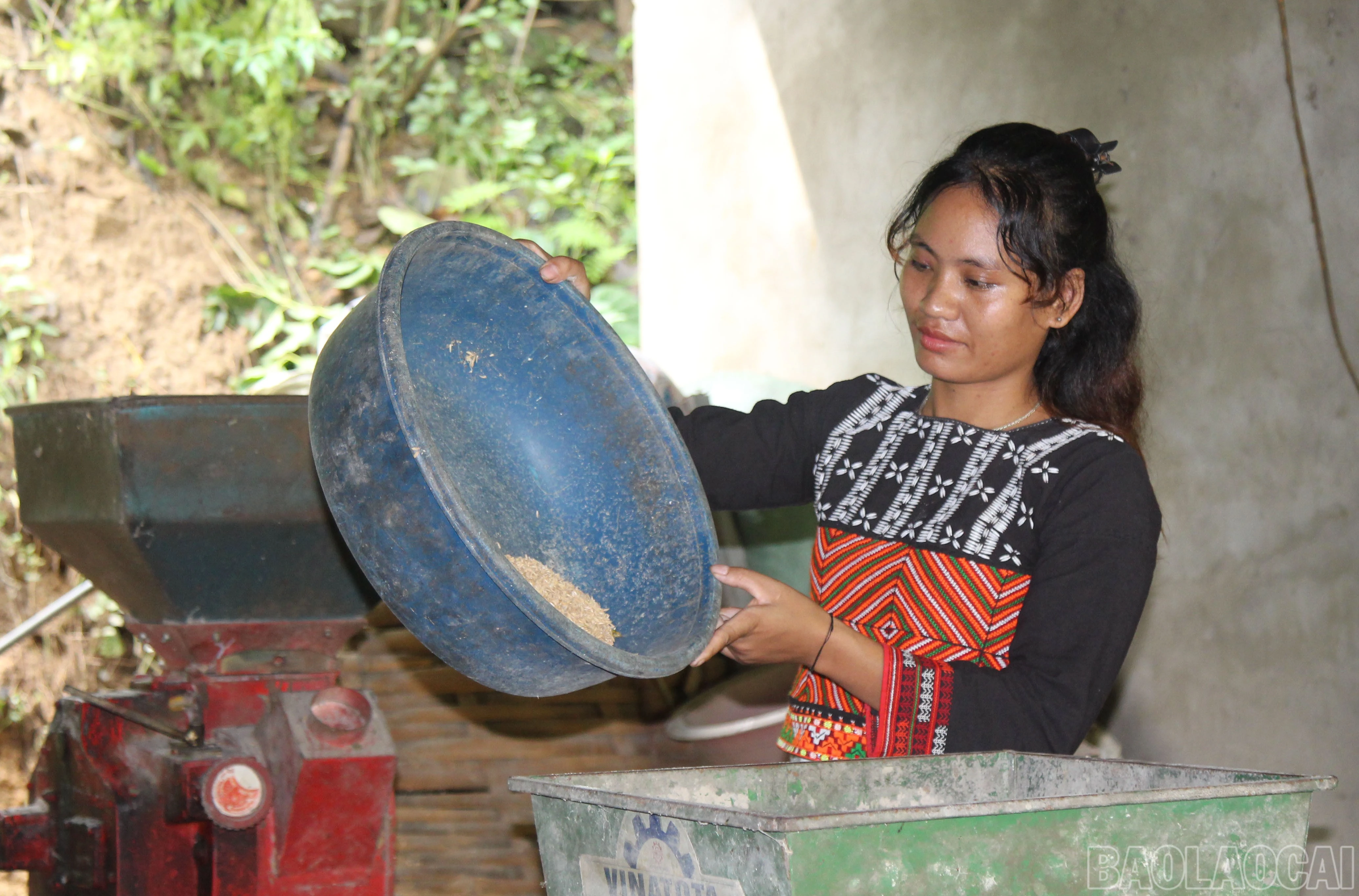 baolaocai-br_4-3364.jpg