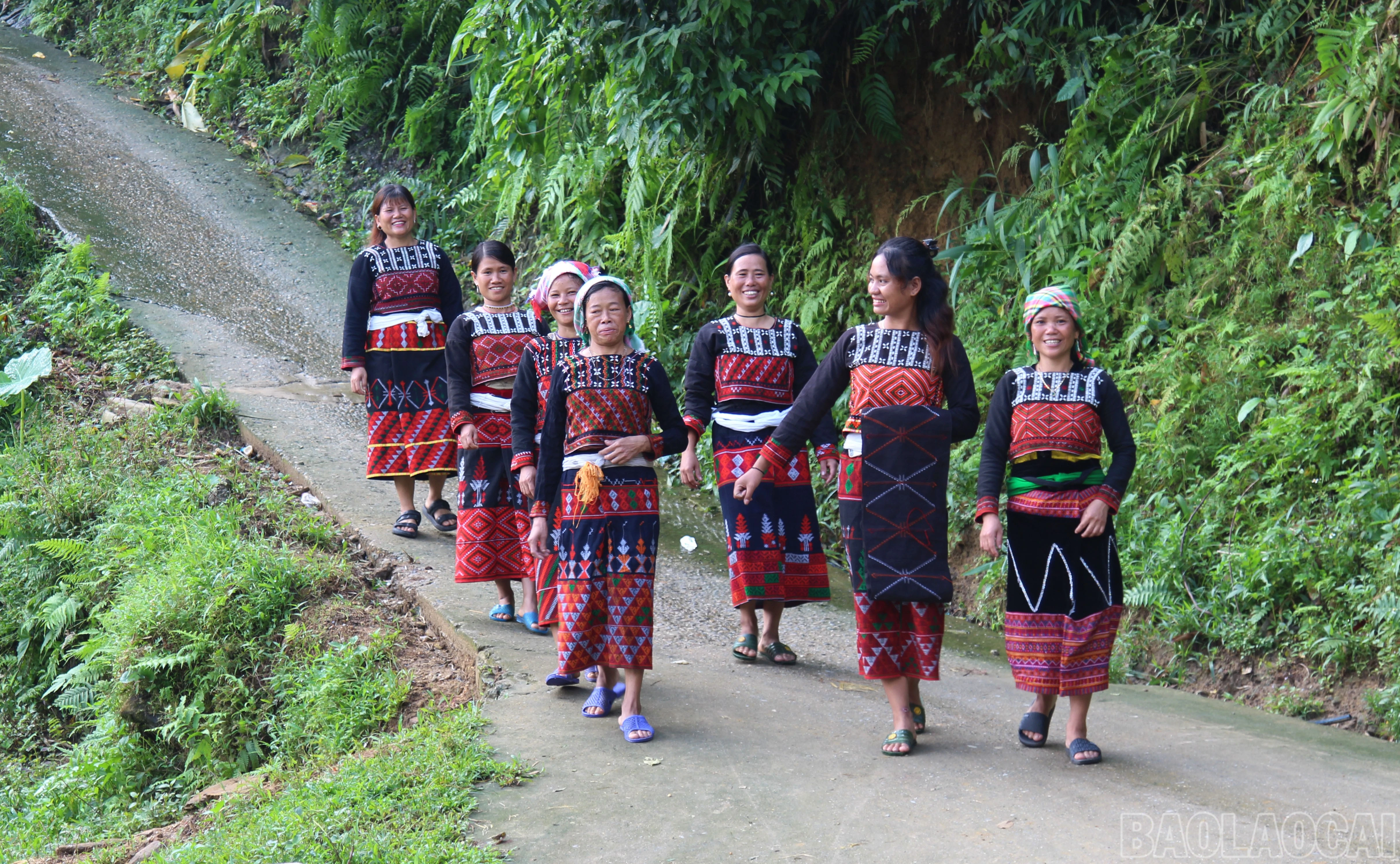 baolaocai-br_2-7803.jpg