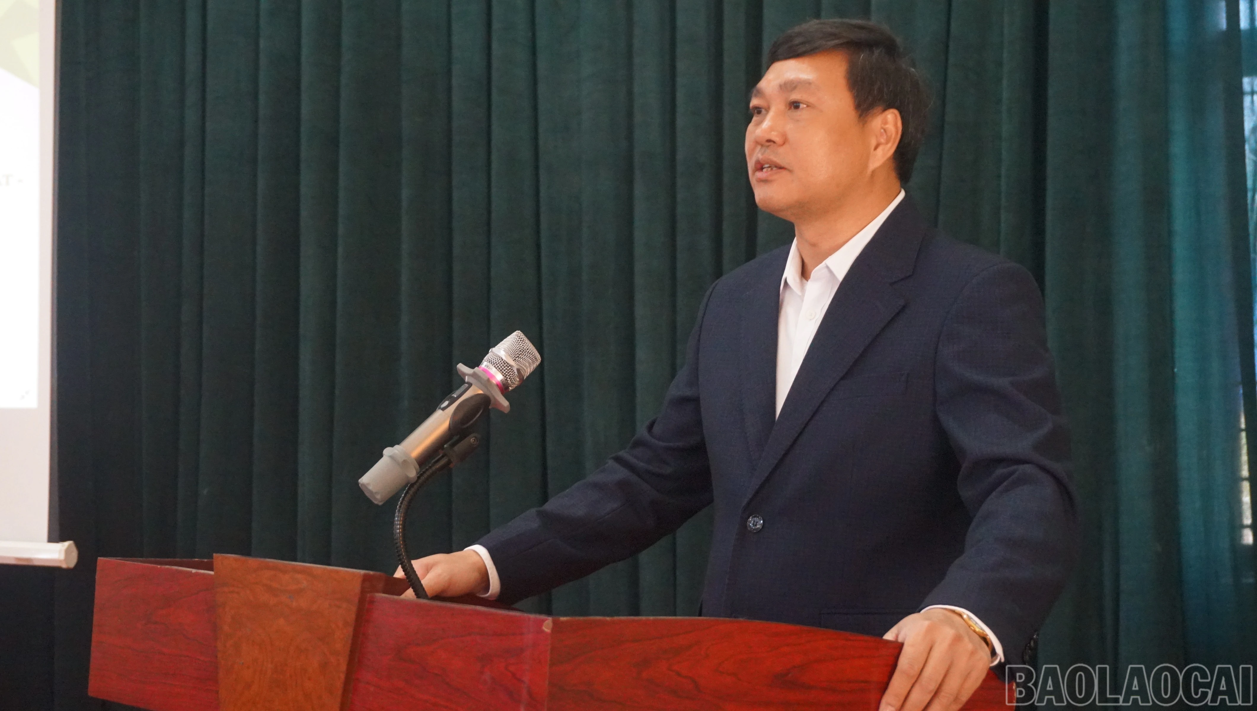 baolaocai-br_img-5811.jpg