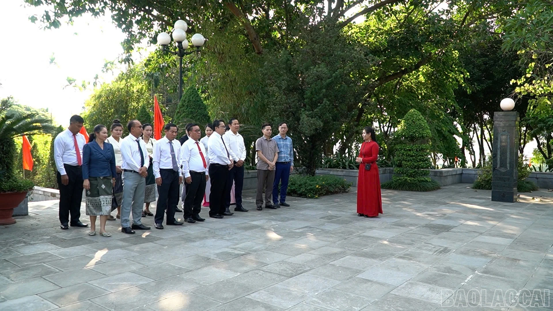 baolaocai-br_img-5556.jpg
