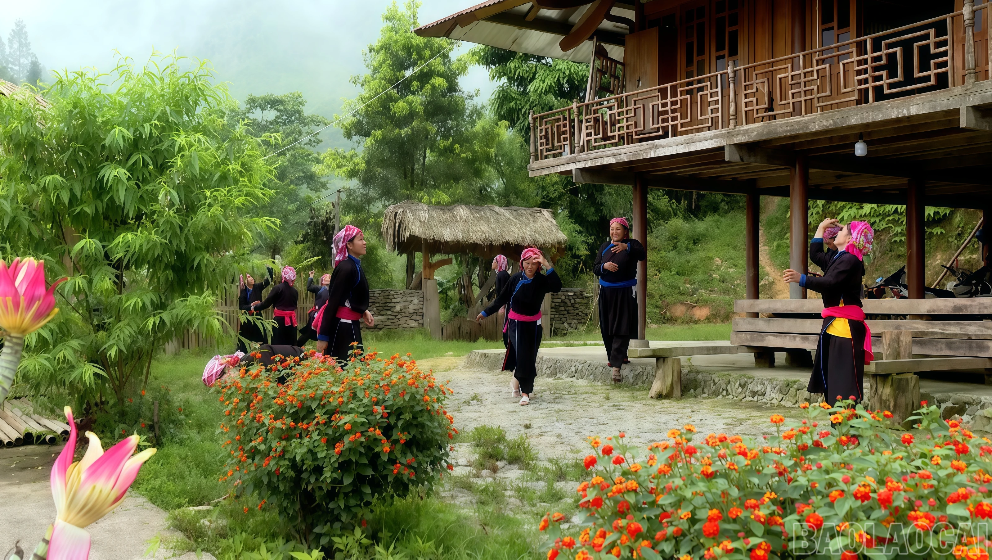baolaocai-br_tung-4.png