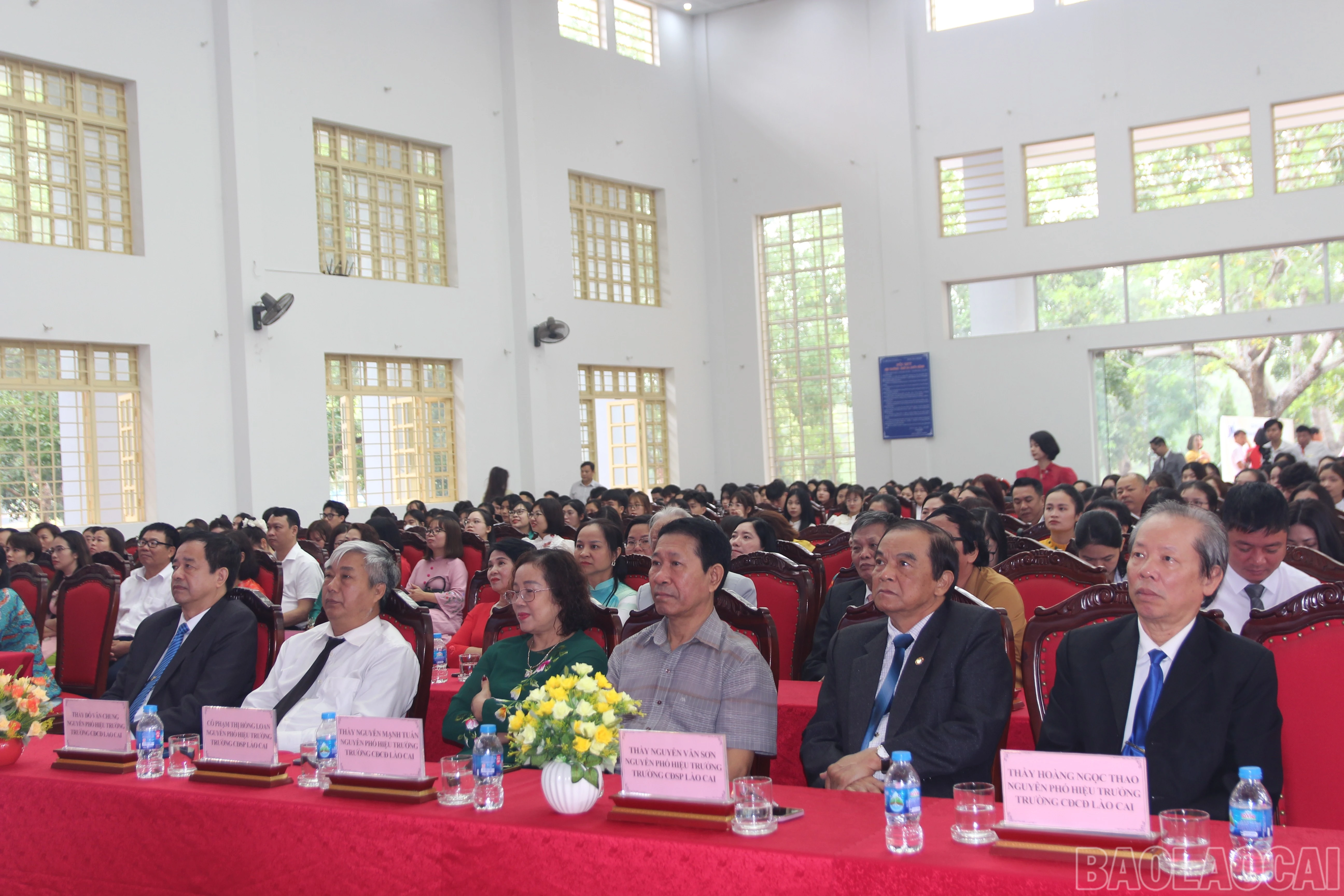 baolaocai-br_img-7782.jpg