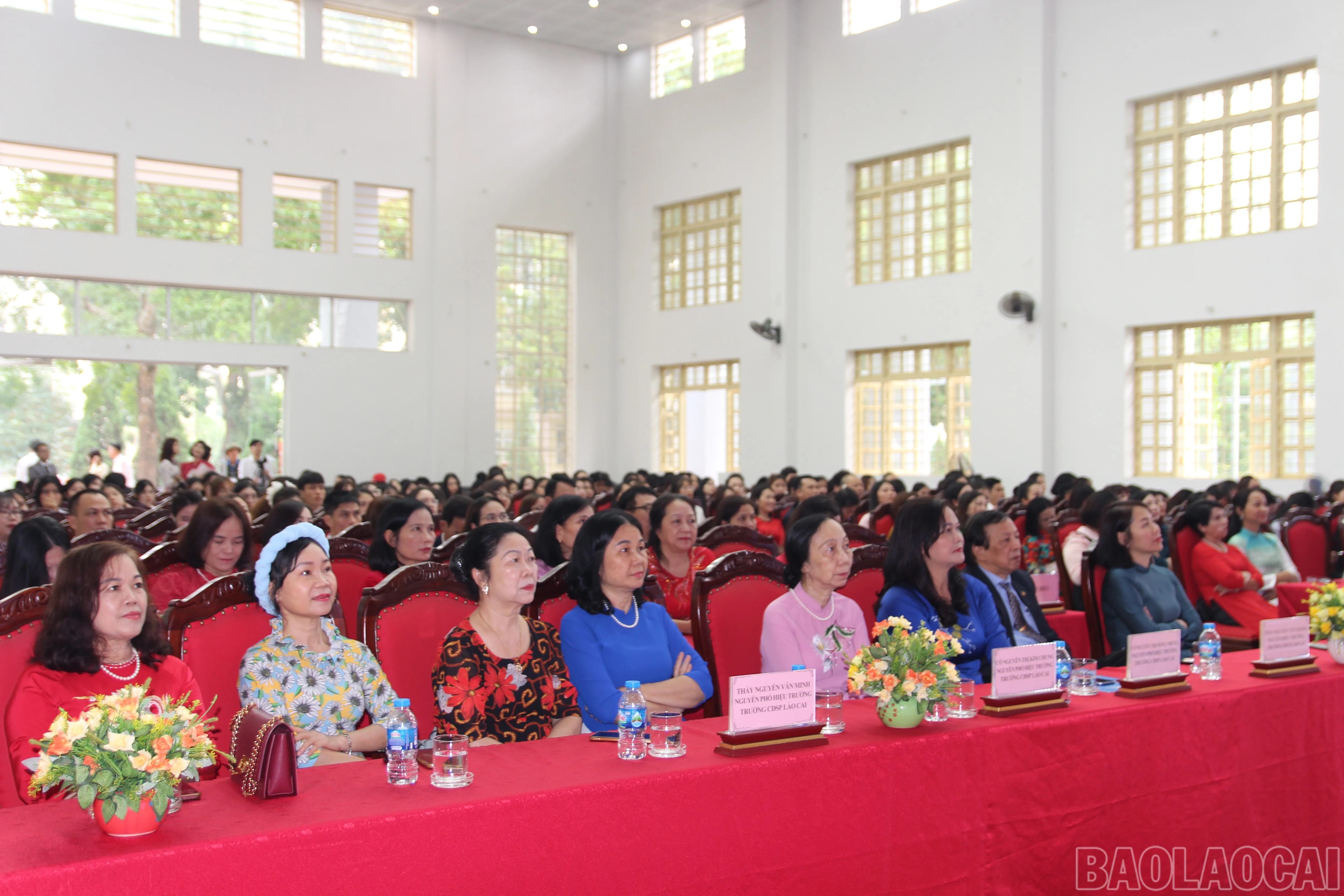 baolaocai-br_img-7784.jpg