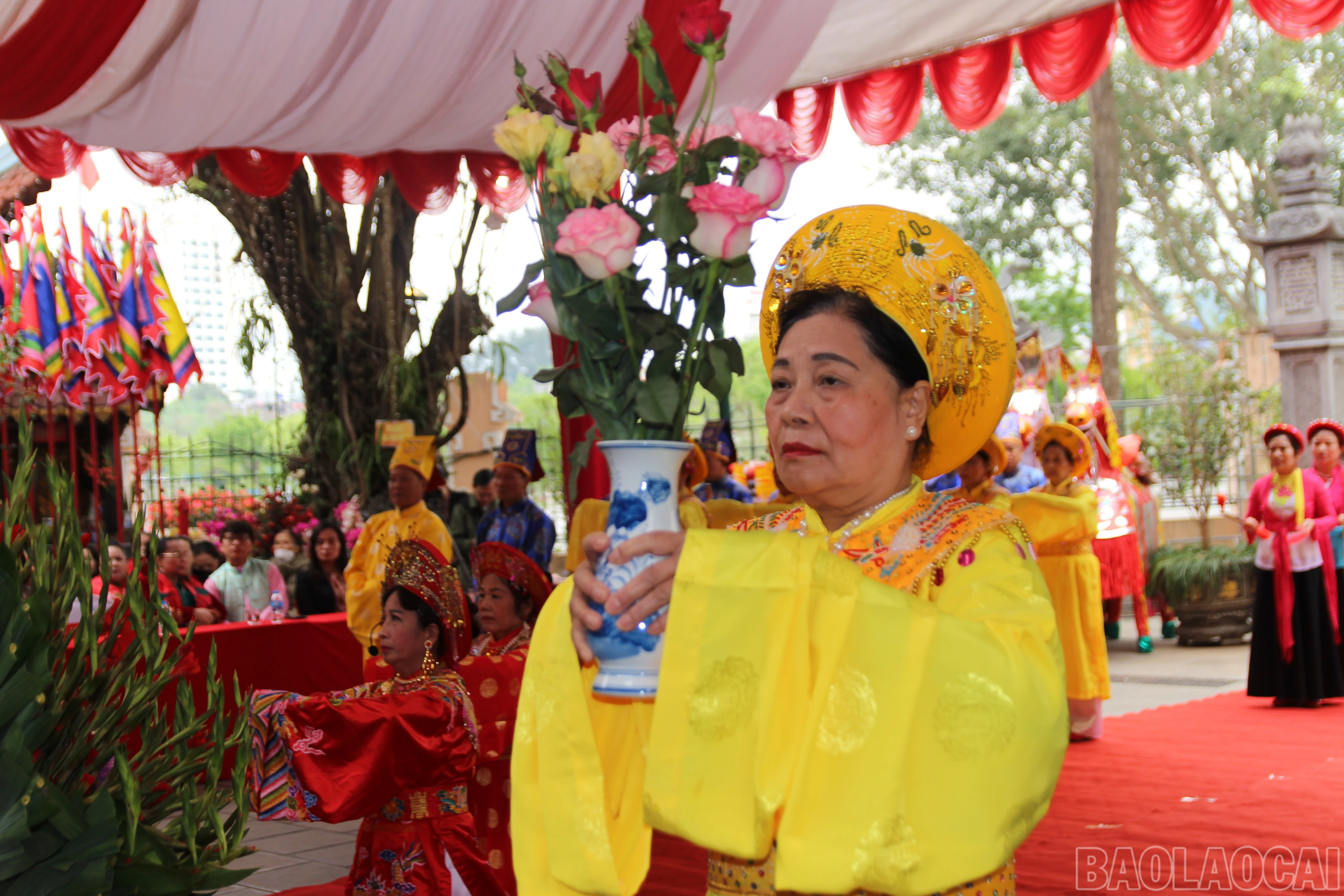 baolaocai-br_img-0053.jpg