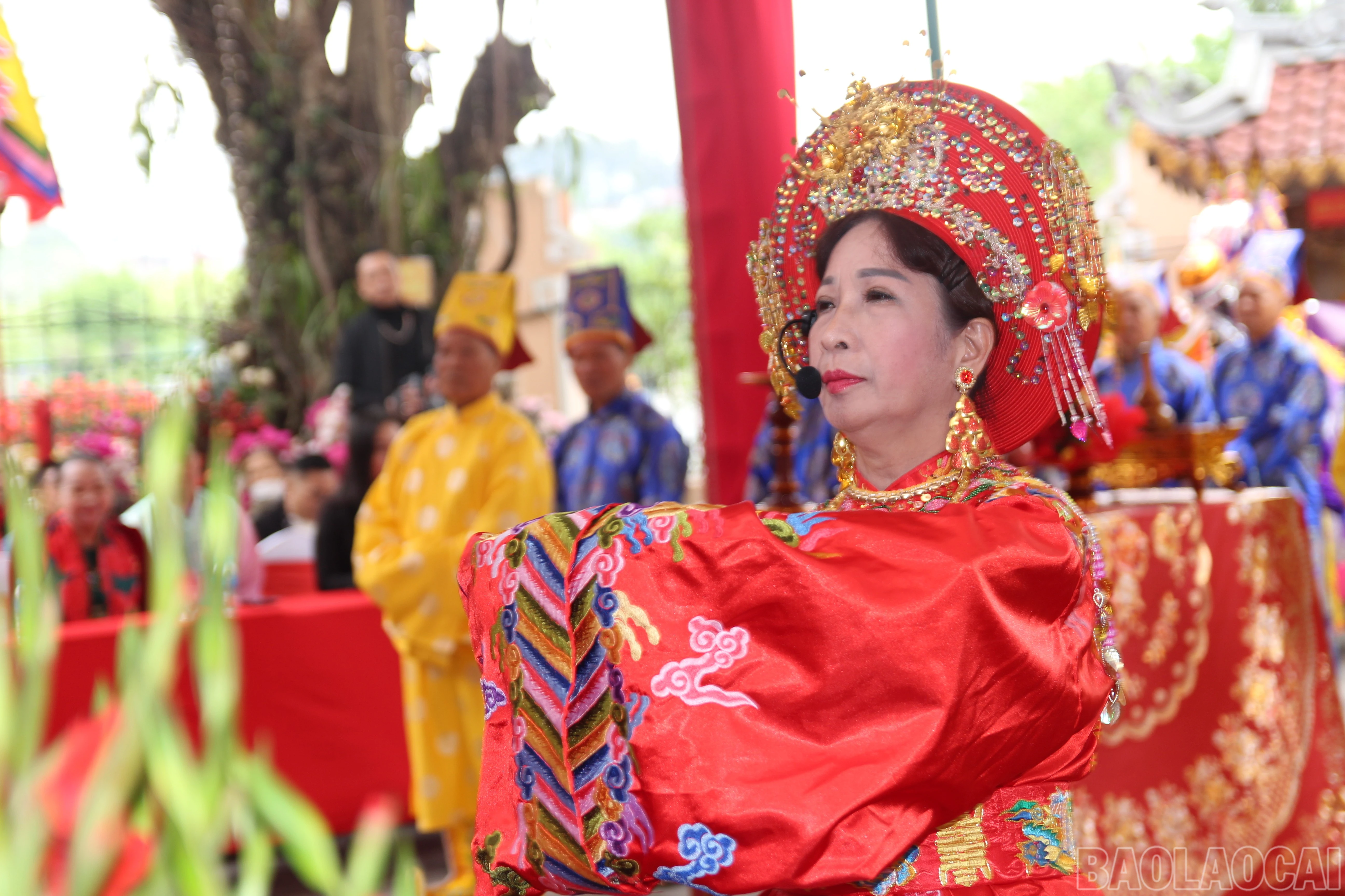 baolaocai-br_img-0041.jpg