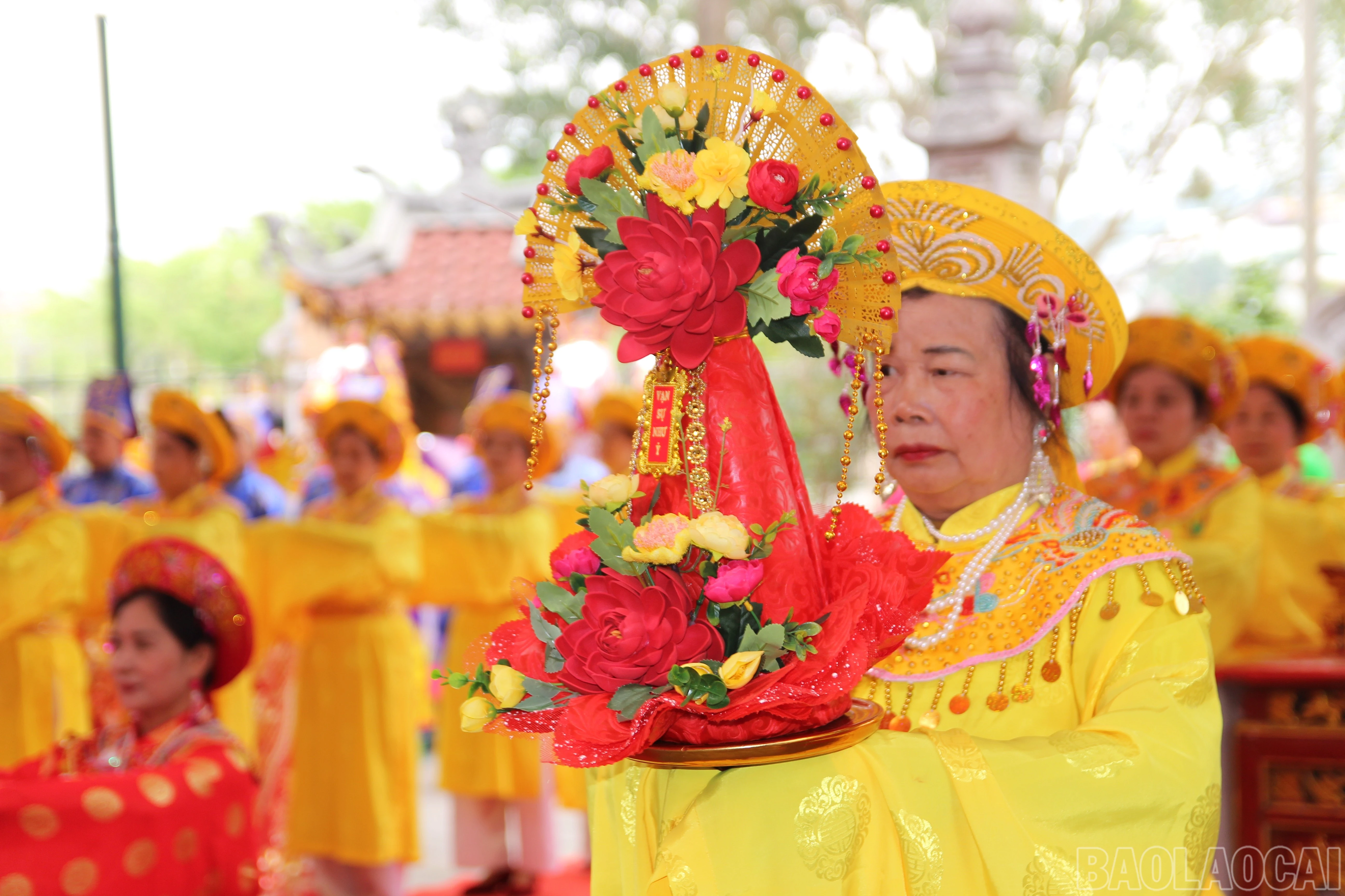 baolaocai-br_img-0063.jpg
