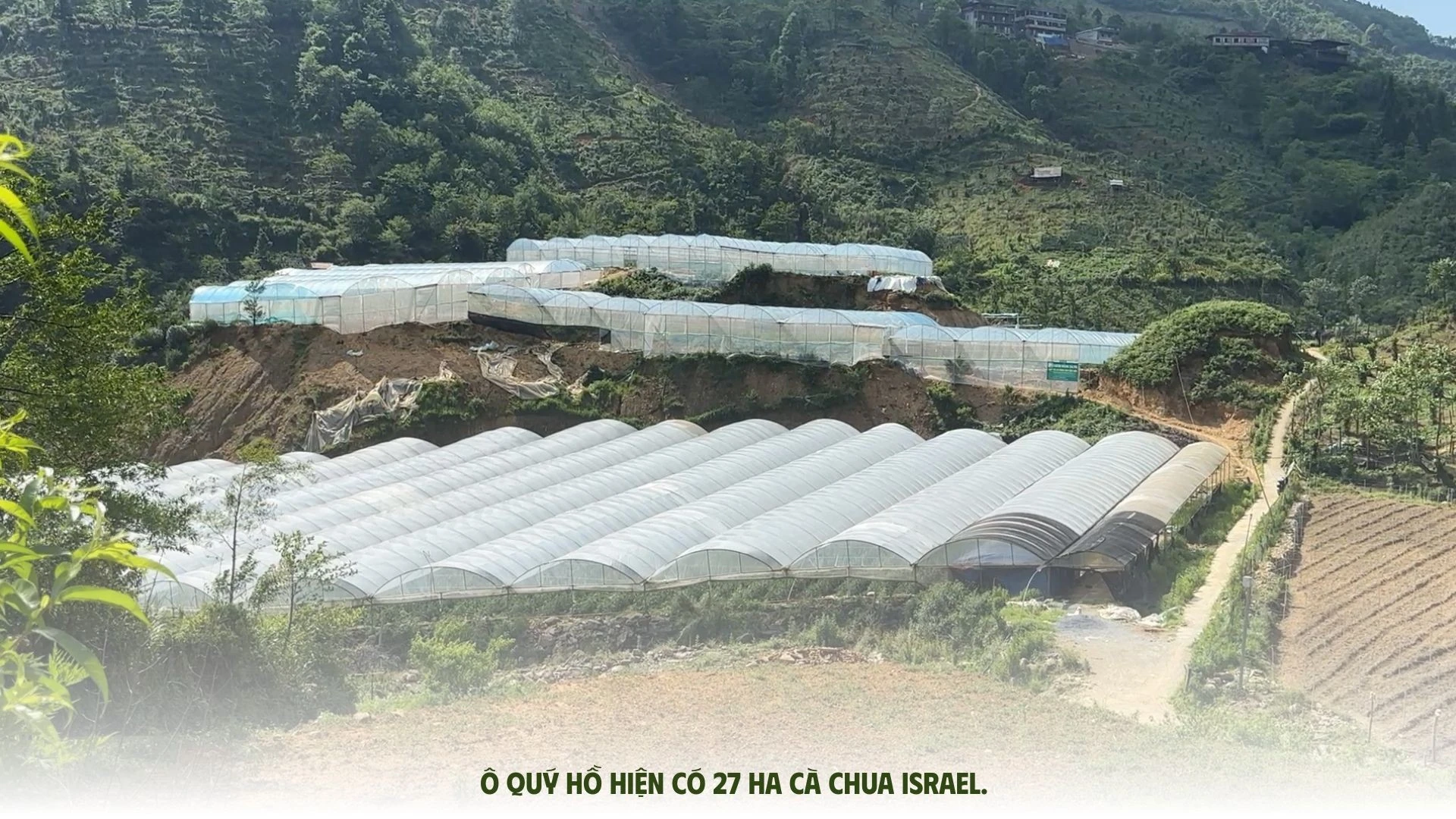 chia-khoa-lam-giau-cua-nong-dan-o-quy-ho-2528.jpg